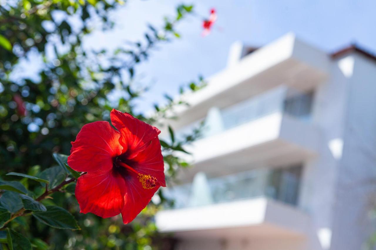 Hotel Jerez & Spa Jerez de la Frontera Ngoại thất bức ảnh